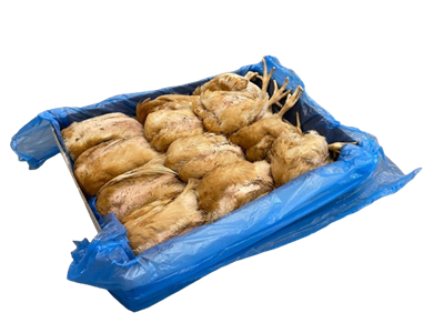 Poussin 6 kg 5-600 gram